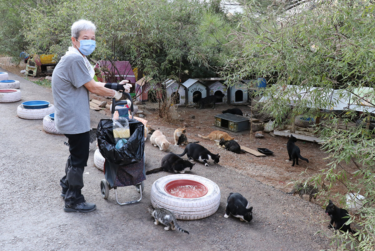 Emekli maaşım buraya gidiyor diyebilirim. Birikimim var oradan idare ediyorum bir şekilde. Belediye de buraya mama bıraksa yükümüz azalır. Eskiden elimle taşıyordum mamaları fakat doktor rahatsızlığımdan dolayı buna izin vermedi. Şimdi 200 kediyi beslemeye pazar arabasıyla çıkıyorum. Onlara mama bıraktığımda kendimi daha iyi hissediyorum. Gürgün'ün arkadaşı Demet Kontaş da Asuman Emine Gürgün'ün her gün kedileri eliyle beslediğini aktardı. Gürgün'ün hayvanlara düşkünlüğüne hayran olduğunu dile getiren Kontaş, İçinde inanılmaz bir doğa ve hayvan sevgisi var. Sabah evinden çok erken çıkar, yolda karşılaşırız ve o bize kedileri köpekleri anlatır. Hepsini tanır ve ismiyle hitap eder diye konuştu.