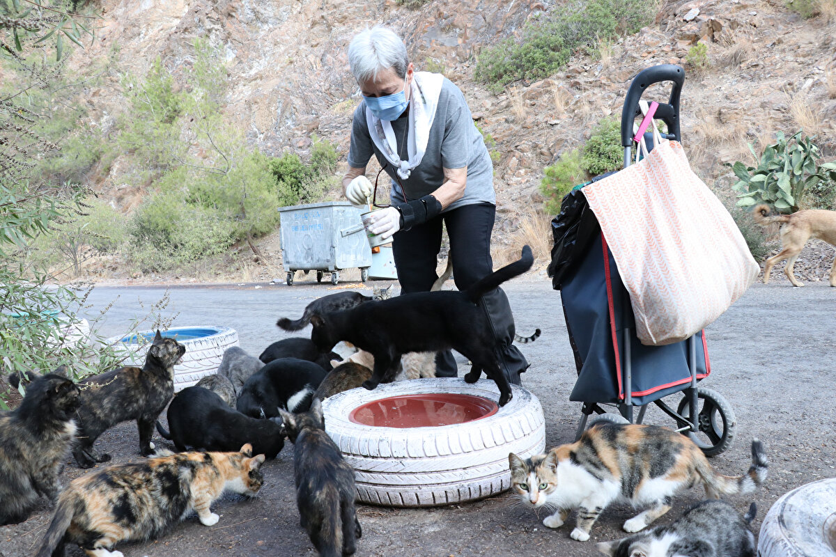 Bu işe yarım kilo mama ile işe başladığını anlatan Gürgün, Şu an getirdiğimizin hesabını yapmıyoruz. Doğadaki dostları çok seviyoruz. Evdekiler şanslı, sokaktakiler bu kadar şanslı değil dedi.