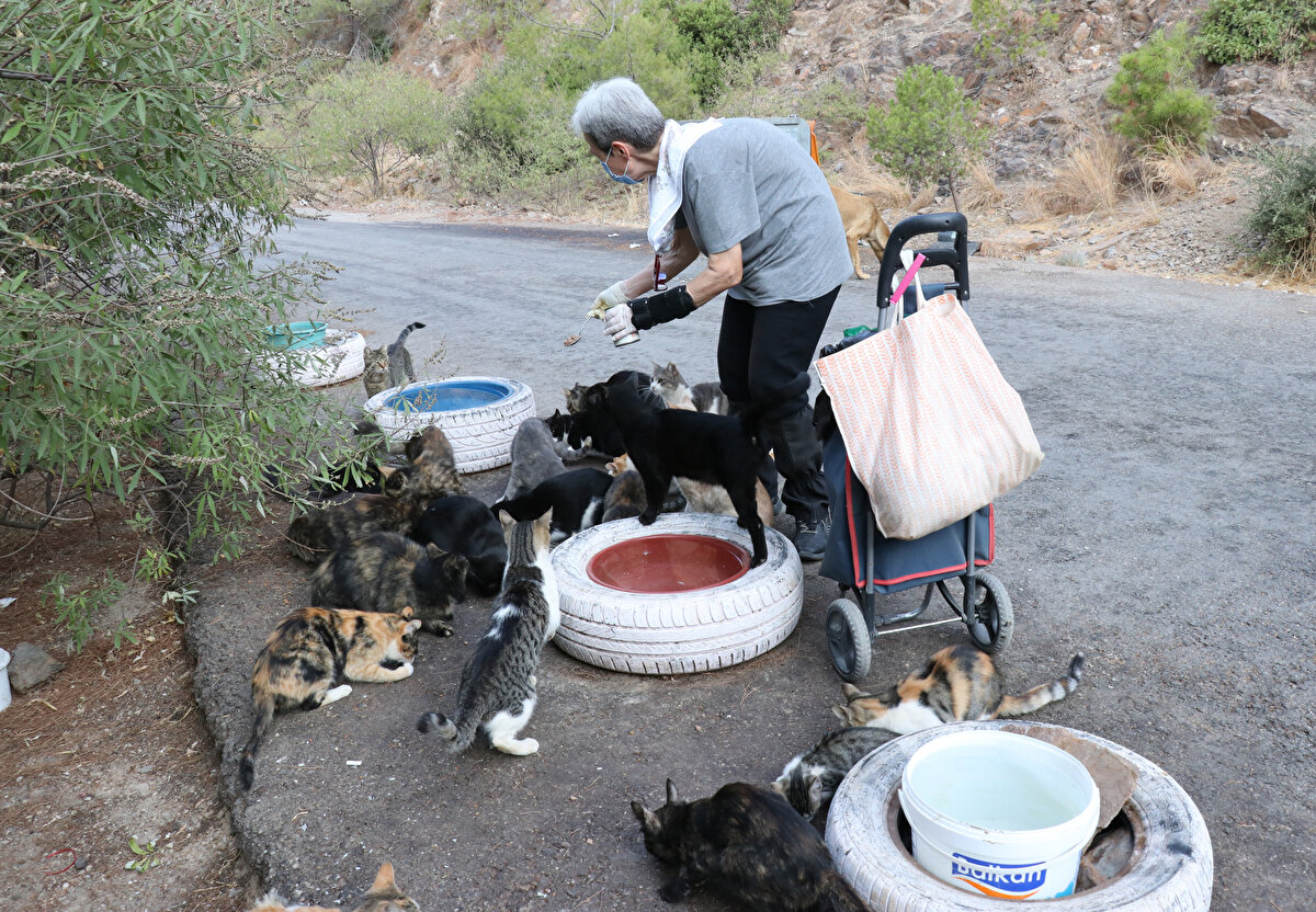 Yaklaşık 200 sokak kedisini eliyle besleyen Gürgün, AA muhabirine, 10 yıldır düzenli olarak her gün kedilerin beslenmesiyle ilgilendiğini söyledi.