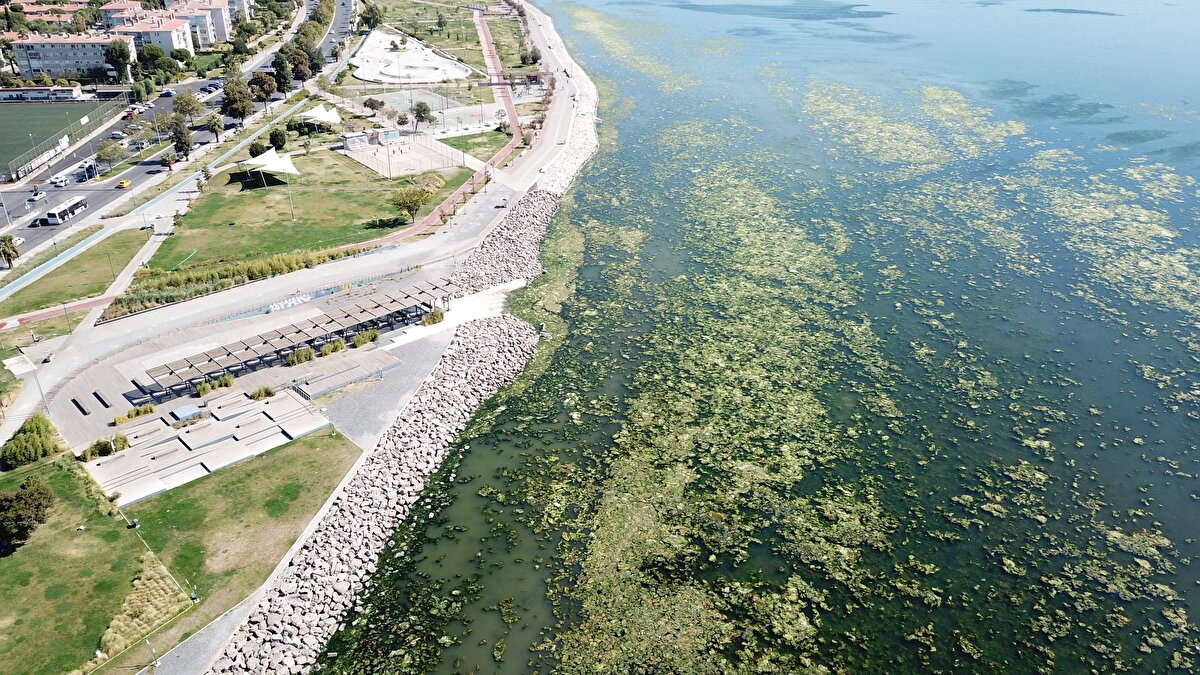 Yürüyüş için sahile gelen Koral Özdemir (56), "Müsilaj olayının ardından hepimiz tedirginiz. İlk gördüğümde de müsilaj olabilir mi diye aklımdan geçirdim. Sonrasında deniz marulu olduğunu öğrendim. Çok etkileyici ve hoş olmayan bir görünümü var'' dedi.<br>