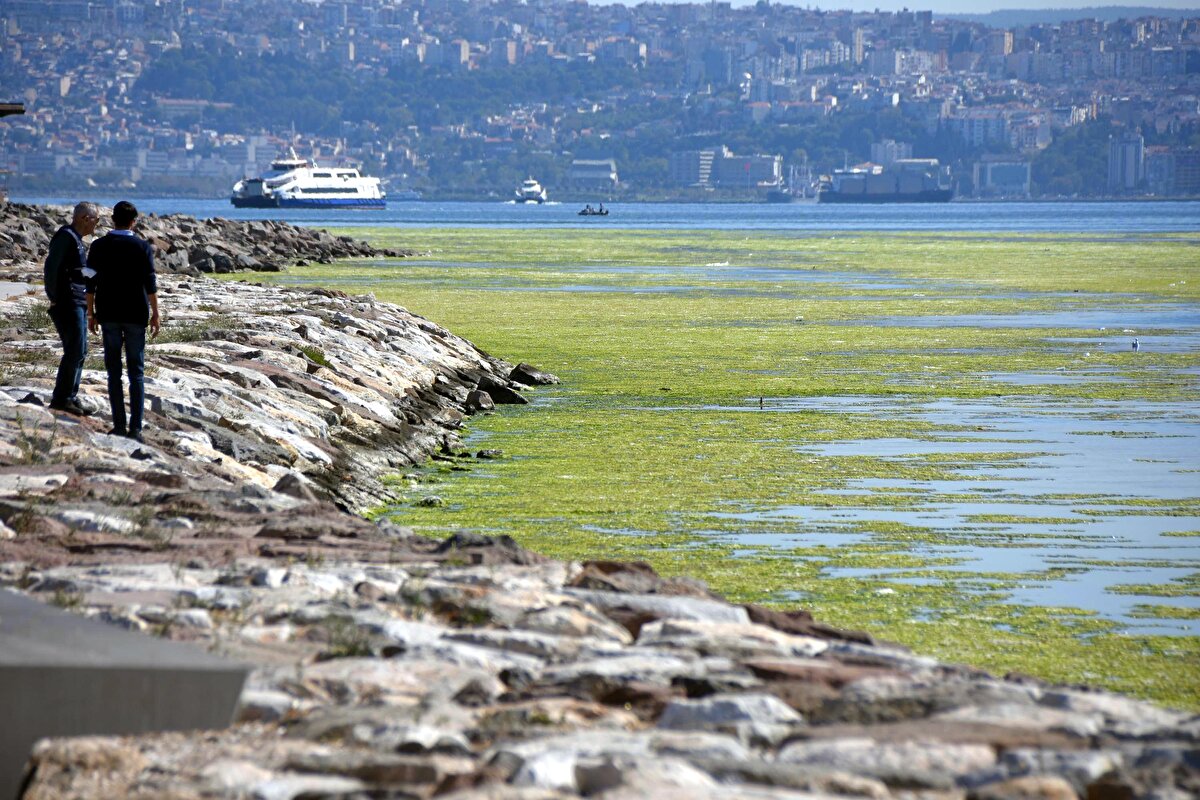 Bostanlı sahiline yürüyüş ve spor için gelenler, denizdeki yeşil renkli yosunları fark etti.<br>
