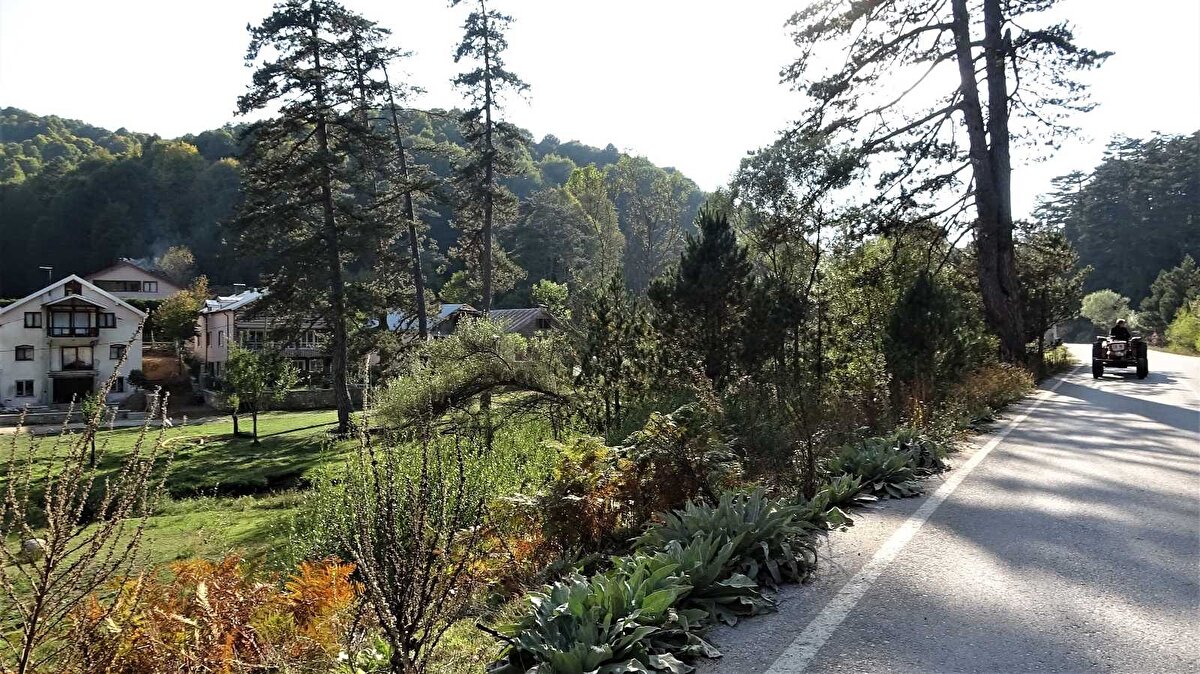 Bölgede bulunan alabalık tesislerine ve piknik alanlarına hafta sonu çok sayıda yerli ve yabancı turist geliyor.