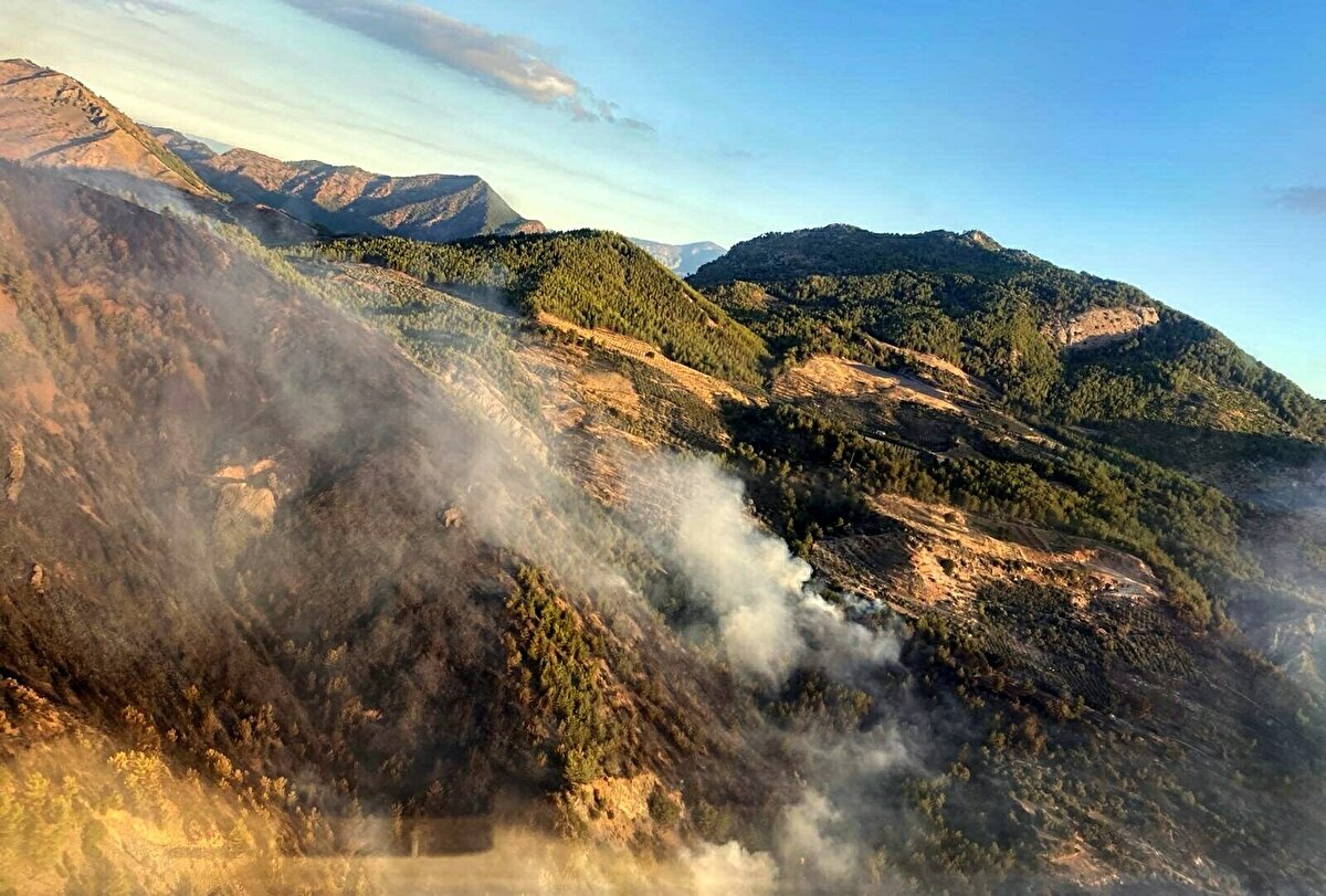 Rüzgarın etkisiyle hızla yayılan yangına, 5 ilk müdahale aracı, 53 arazöz, 17 su tankeri, 10 dozer, itfaiye ekipleri ile yangın söndürme işçilerince müdahale edildi.<br><br>