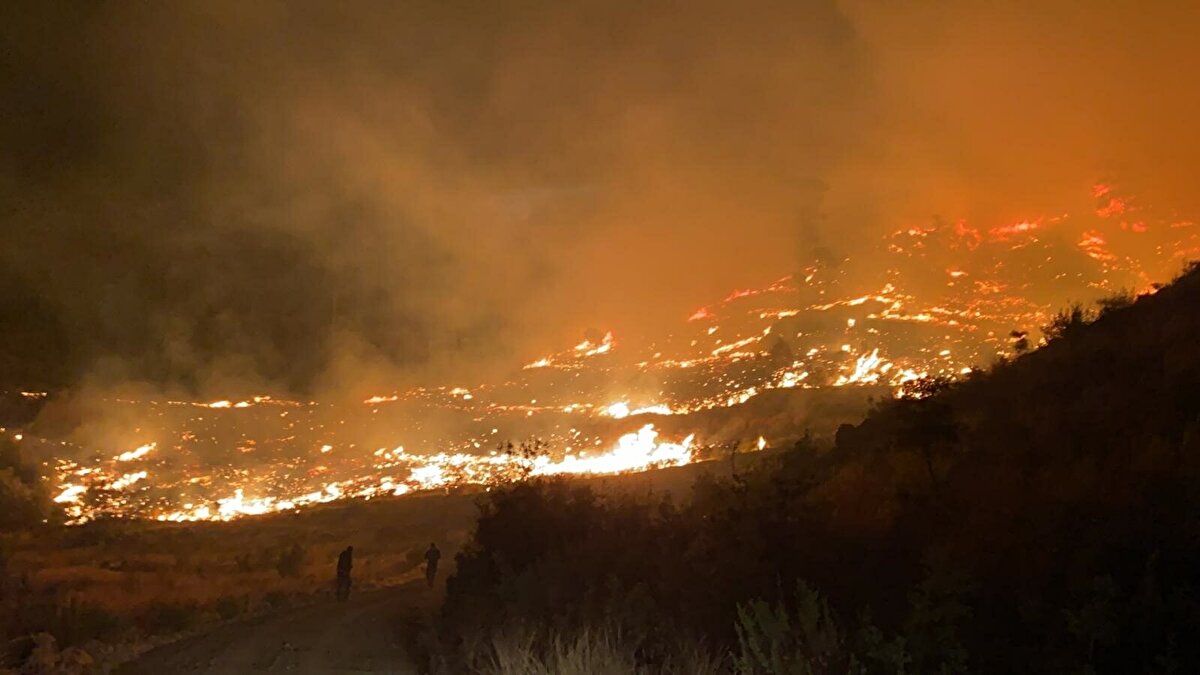 Muğla'nın Dalaman ilçesinde Atakent Mahallesi Dereköy mevkisinde gece saatlerinde henüz belirlenemeyen bir nedenle yangın çıktı.<br><br>