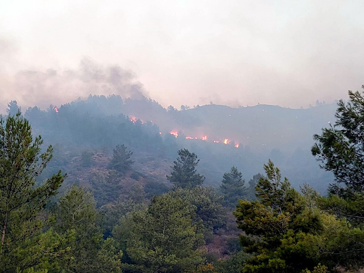 Tarım ve Orman Bakanı Bekir Pakdemirli, gece başlayan Muğla Dalaman Sırmadere yangınının kontrol altına alındığını belirtti.<br><br>