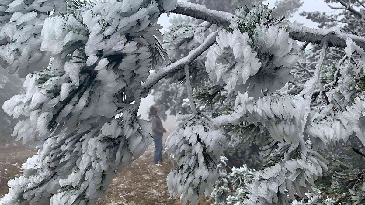 Ağaçların adeta donduğu ilçede fotoğraf tutkunlarını seferber etti.<br><br>
