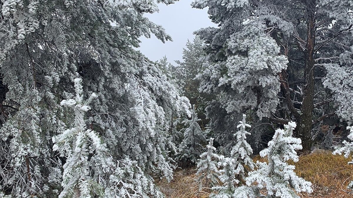 Sarıkamış’ta hava sıcaklığı gece eksi 10 derece ölçülürken, sabah saatlerinde ise termometreler eksi 6 dereceyi gösterdi.<br><br>