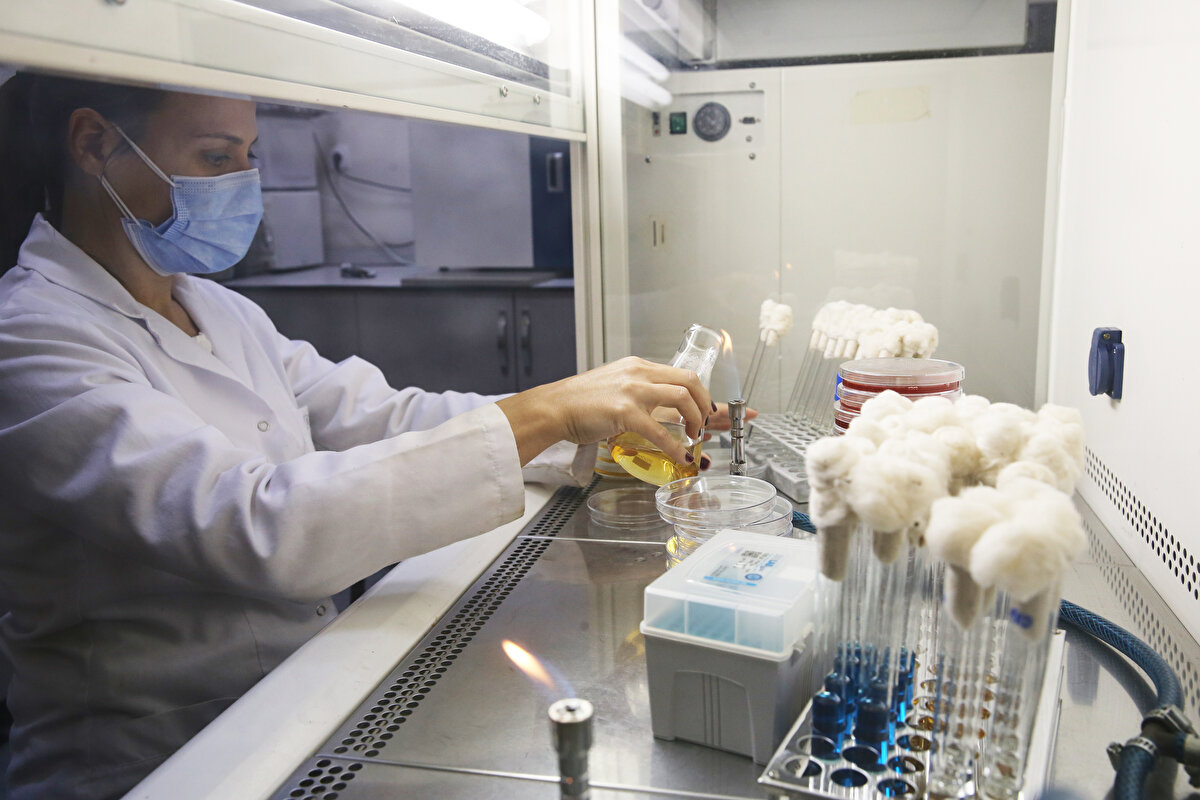 TÜBİTAK "Müsilaj Araştırmaları Özel Çağrısı" kapsamında önerilen araştırma projelerinden bilimsel olarak desteklenmesine karar verilen 37 projeden biri olan "Marmara Denizi'nden Avlanan Su Ürünlerinde Müsilajın Halk Sağlığı Bakımından Etkilerinin Değerlendirilmesi" projesi, İstanbul Üniversitesi Su Bilimleri Fakültesi Balıkçılık ve Su Ürünleri İşleme Teknolojisi Bölümü Gıda Güvenliği Ana Bilim Dalı Başkanı Prof. Dr. Nuray Erkan ve ekibi tarafından yürütülüyor.<br><br>Projenin detaylarına ve bu zamana kadar yaptıkları incelemelerde elde ettikleri bulgulara ilişkin bilgi veren Prof. Dr. Nuray Erkan, müsilaj ile "Denizden çıkan balık yenir mi?", "Bir hastalık yapıcı etken var mı?" düşüncesiyle halkta bir tedirginlik oluştuğunu belirtti.