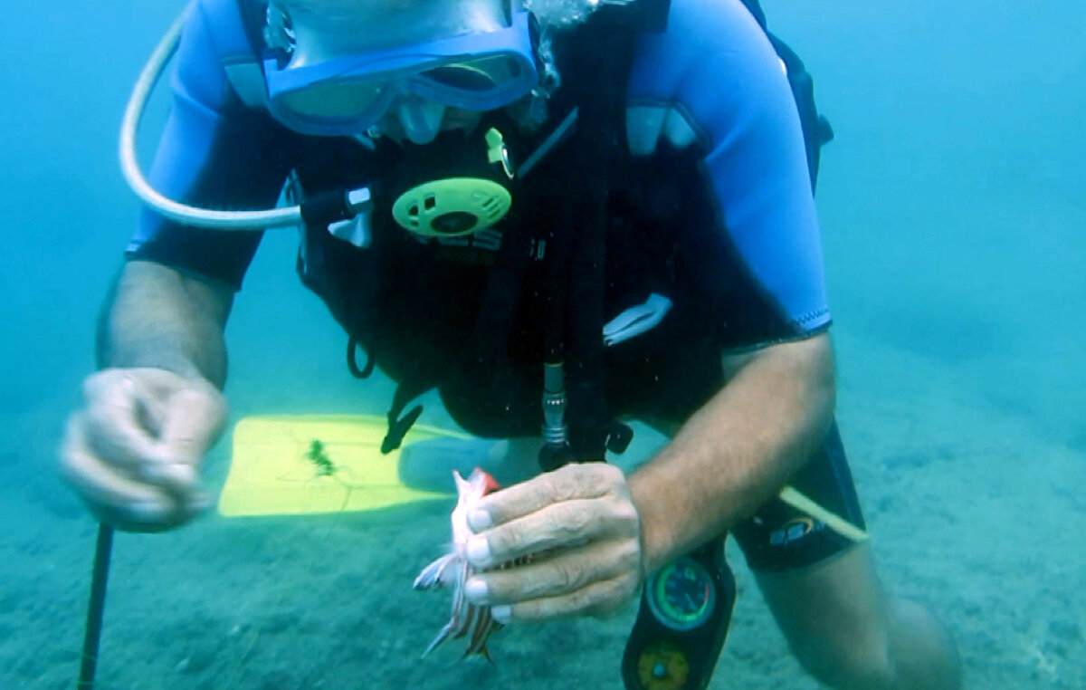Dalış yaptıklarında her 1 metrekarede 1 denizanası gördüğünü ifade eden Prof. Dr. Gökoğlu, “Çok yakıcı uzantıları var. Sopayla aldığım halde vücudumuzun çıplak noktalarında hemen etkisini gösterdi. Balıklara bir zararı yok. Besinin bol olduğu yerlerde olur bu denizanaları. Denize giren vatandaşlar dikkatli olsunlar diye konuştu.