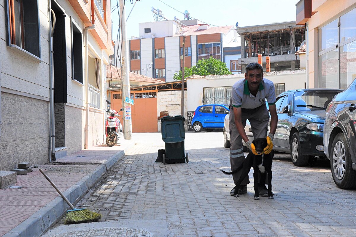 Saruhanlı ilçesi Saruhanlı Mahallesi'nde yalnız yaşayan Mustafa Özdemir, bir ay önce ilçe belediyesinde temizlik işçisi olarak işe başladı. Özdemir, ilk iş gününde yanına gelen köpeğin karnını doyurdu.