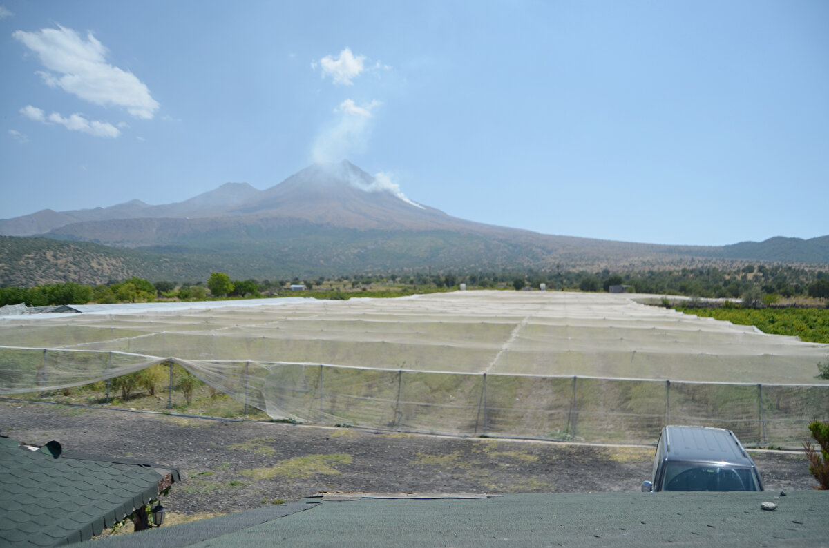 Türkiye, İtalya, İspanya ile Bulgaristan’dan ürün talep ediyorlar ve tercihlerini en çok Türkiye’den yana kullanıyorlar. Bizim verdiğimiz toptancılar ürünün yüzde 80’i ile 90’ını yurt dışına gönderiyorlar. Geçen sezon bütün masrafları çıkınca dekar başına 25 bin TL kâr elde ettim. Geçen sezon kilosunu 80 TL’den bu sezon ise 100 TL’den veriyoruz. Daha hasat yapmadan ön sözleşmeyle satış yaparak elimizdeki ürünleri bitirdik.” diye konuştu.<br>