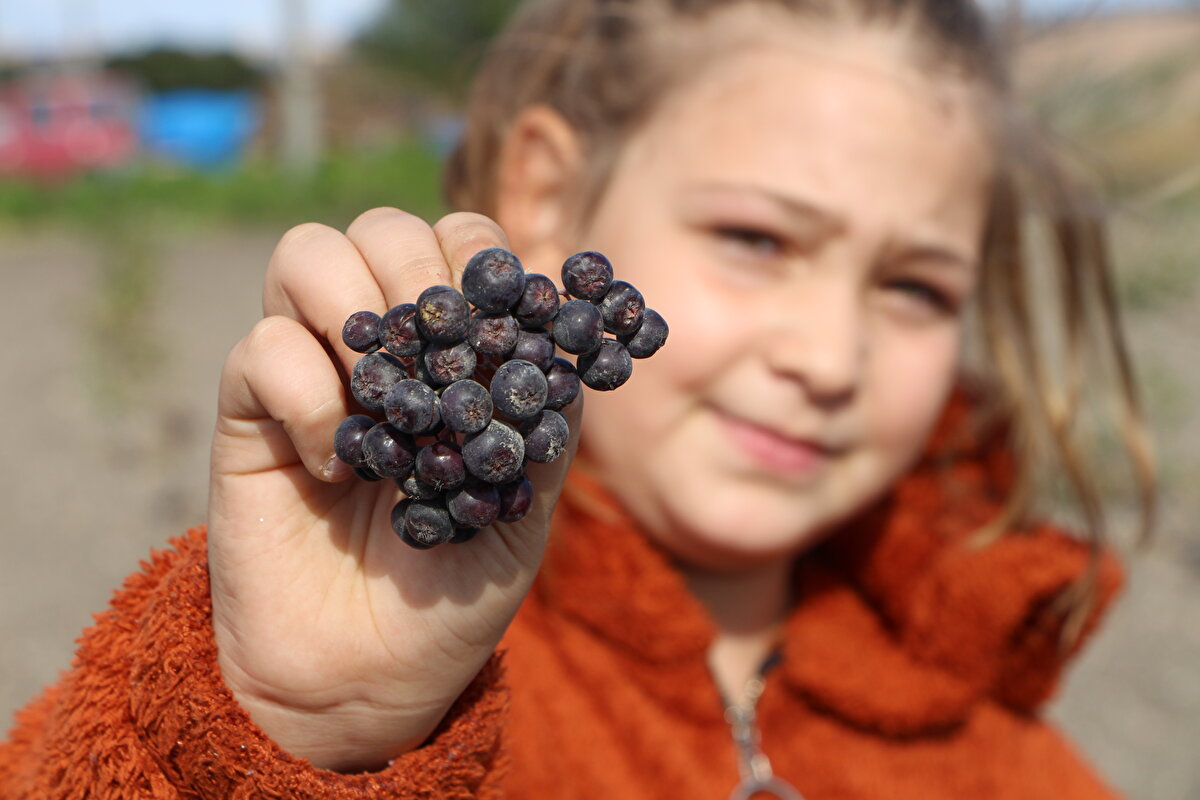 Daha önce İstanbul'da ikamet eden Gönül Saral Durmuş, büyük şehrin kalabalığından sıkılarak 2017 yılında eşi Selim Durmuş (53), kızları Armin (9) ve Nihal (7) ile Gönen ilçesinin kırsal Buğdaylı Mahallesi'ne yerleşti.