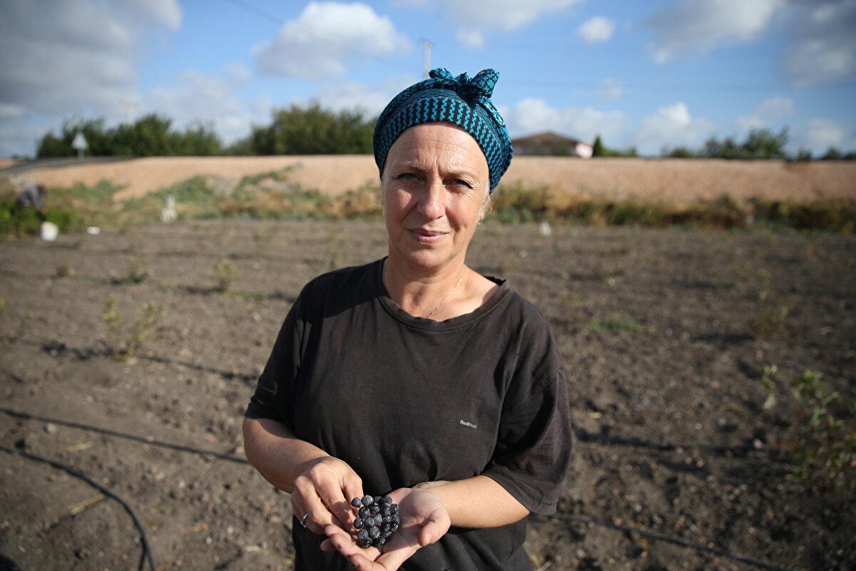 Durmuş, "Hedefim, yerimi daha da çok büyütüp yurt dışına ihraç etmek. Nasip olursa 20 dönümlük bir araziye de ekmeyi planlıyorum" dedi.