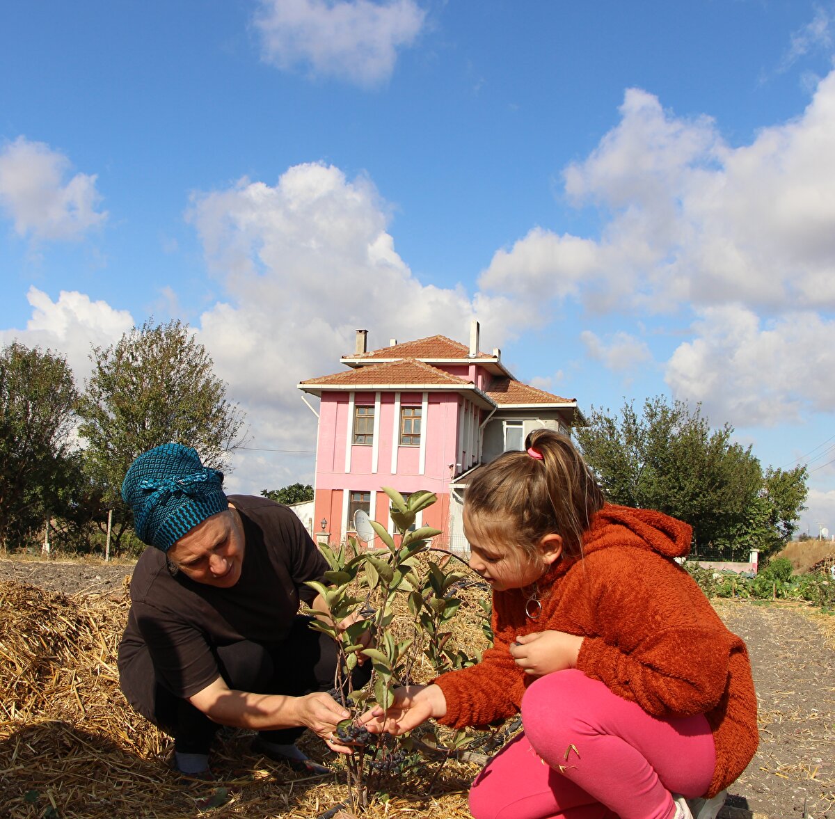 Durmuş, kızının altın künyesini satarak fidan alıp bu işe girdiğini anlattı.