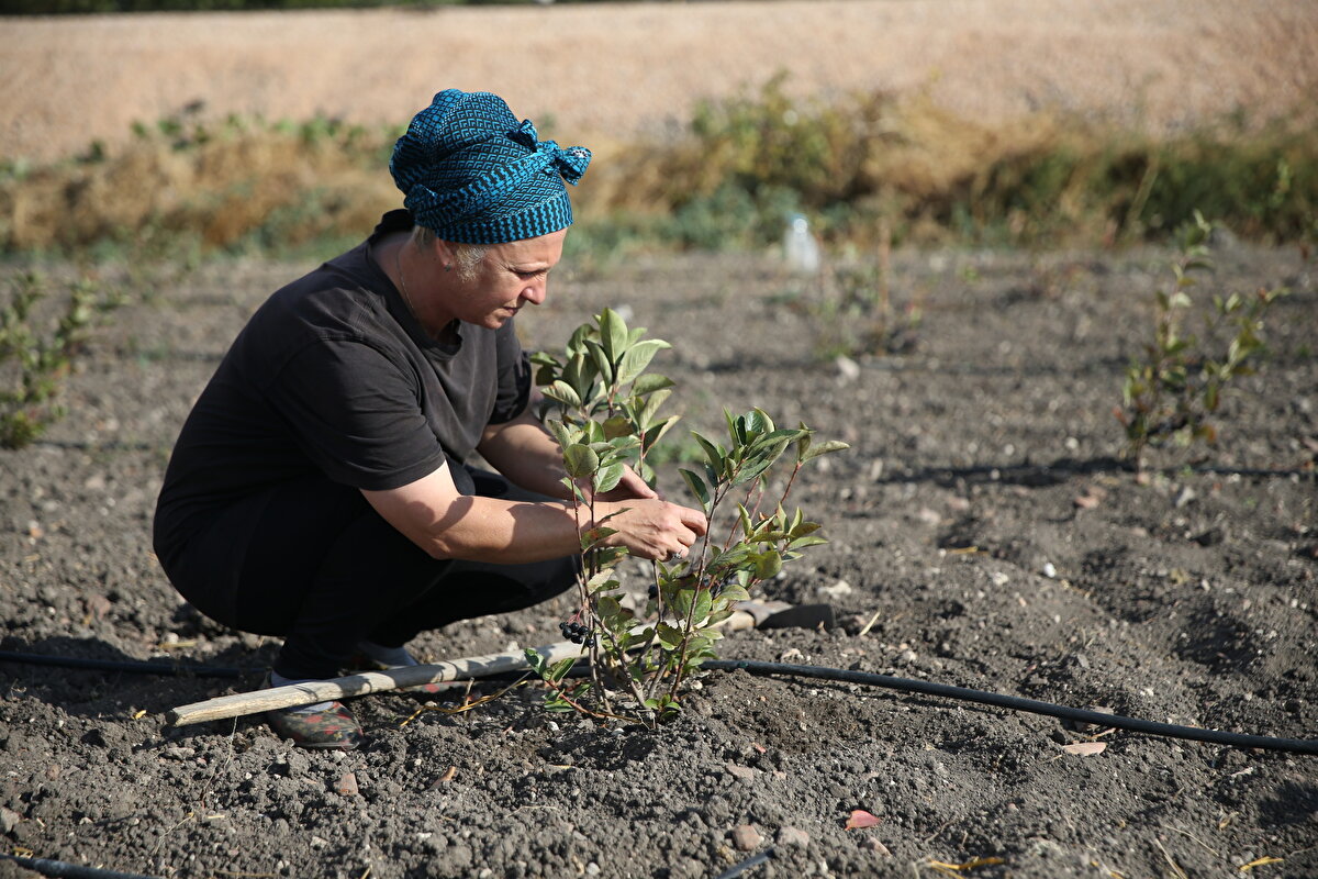 Gönen'i İstanbul'dan daha çok sevdiğini dile getiren Armin, "Günlerimiz çok eğlenceli geçiyor. Anneme yardımcı olmaktan çok mutluyum" diye konuştu.