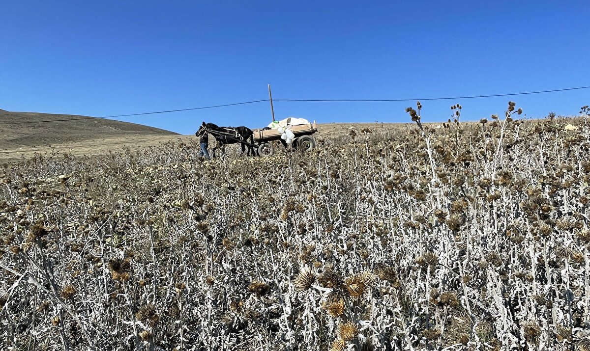 Yıldırım, mesleğini son 15 senedir "Yağız" isimli atıyla sürdürdüğünü belirterek,<br>"Köylere çıkacağım zaman sabah erkenden arabamı yüklüyorum. Kendi müşterilerimle ilgilendikten sonra yola çıkıyorum. İlk olarak Erzincan'ın Avcıçayırlı köyüne geldik. Orada satış yaptıktan sonra Müminağa köyüne indik. Daha sonra Küçükgelengeç ile Büyükgelengeç köylerindeki müşterilerime uğrayıp günü bitirdik” diye konuştu.