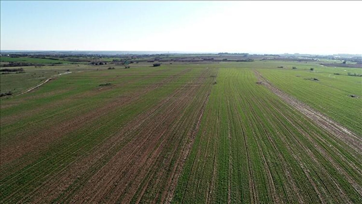 Bakanlıkça Hazine taşınmazları rayiç bedelin binde 1’i üzerinden kiralanıyor, yani arazilerin bir dönümü ortalama 20 lira bedelle kiraya veriliyor. Kadın ve genç girişimciler öncelikli. Başvurular, Milli Emlak Genel Müdürlüğü’nün internet sitesi ‘milliemlak.gov.tr’ üzerinden yapılabiliyor.<br>