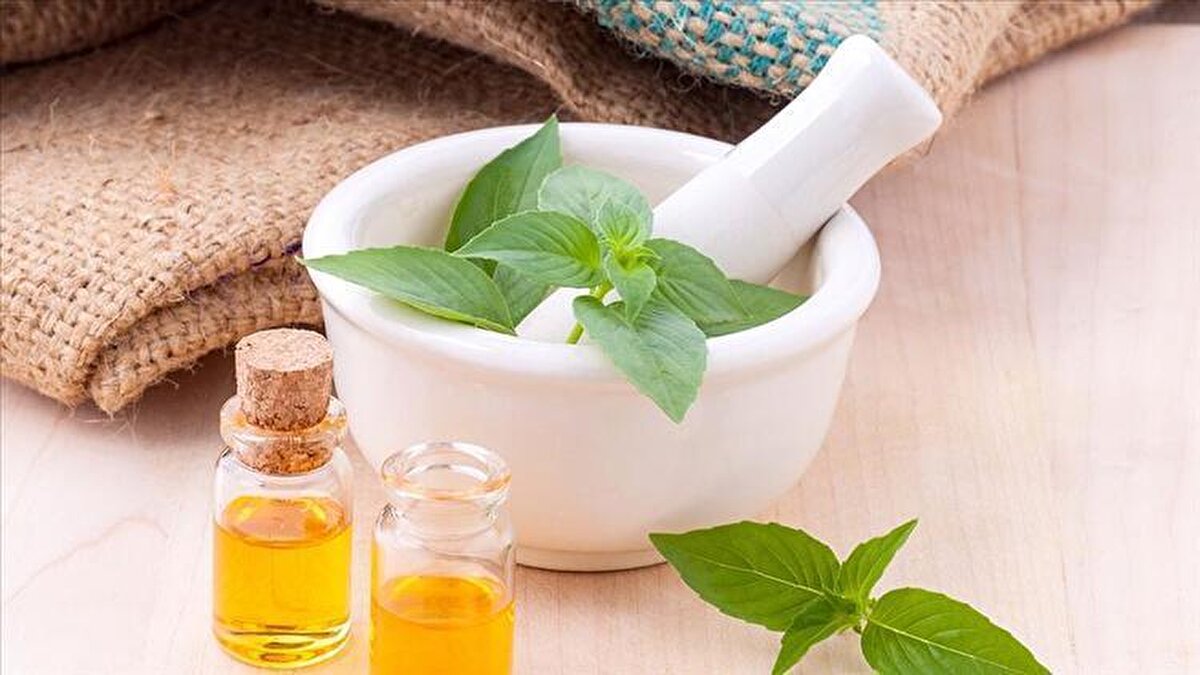 Baharat şeklinde iç pazarda çok kullanılmasının yanı sıra Türkiye’nin nane yağı ve mentol ihtiyacını daha çok ithalatla karşıladığı da düşünüldüğünde pazarı olan, kazandıran bir yatırım.<br>