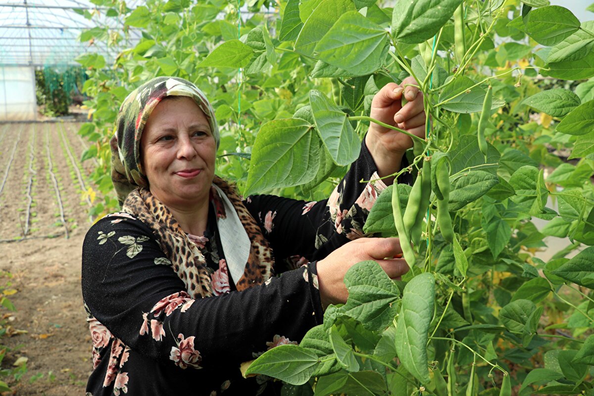 Filiz Gülmez, AA muhabirine, 16 yıl önce bahçe satın aldıklarını, eşinin desteğiyle üretmeye başladığını, ürünlerini de pazarlarda sattığını anlattı.<br>
