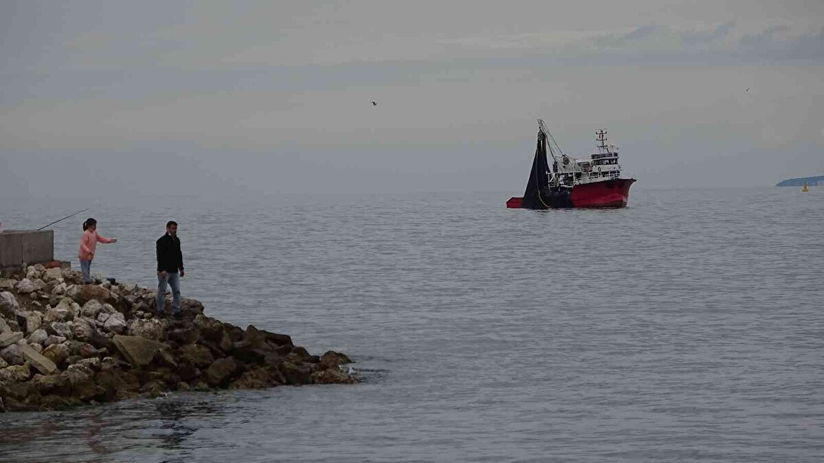 Hemen sürünün bulunduğu alanlara ağlarını atan balıkçılar, tonlarca hamsiyi teklerine kısa sürede çekti.