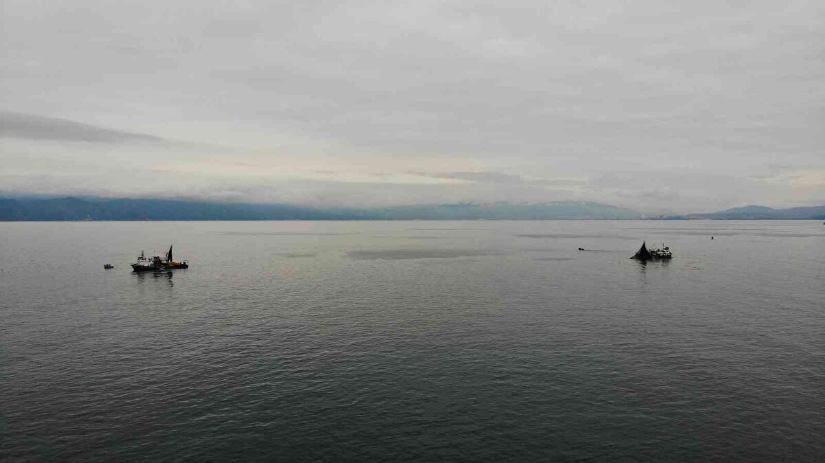 Gemlik körfezine yüzlerce ton hamsi sürüsünün girdiğini haber alan balıkçılar, tekneleriyle körfeze akın etti.