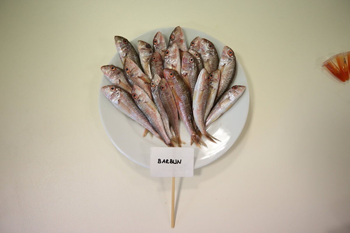 "Omega 3" denildiğinde akla ilk balık geldiğini, bunun da balık yağının içinde bulunduğunu aktaran Şahin, "Yaptığımız araştırmada hamsinin oldukça yağlı olduğu ve omega 3’lerden EPA değerinin oldukça yüksek olduğunu bulduk" dedi. Hamsinin birçok parametre açısından ön plana çıktığını dile getiren Şahin, bu balığın mevsiminde daha çok tüketilmesini önerdi.<br>