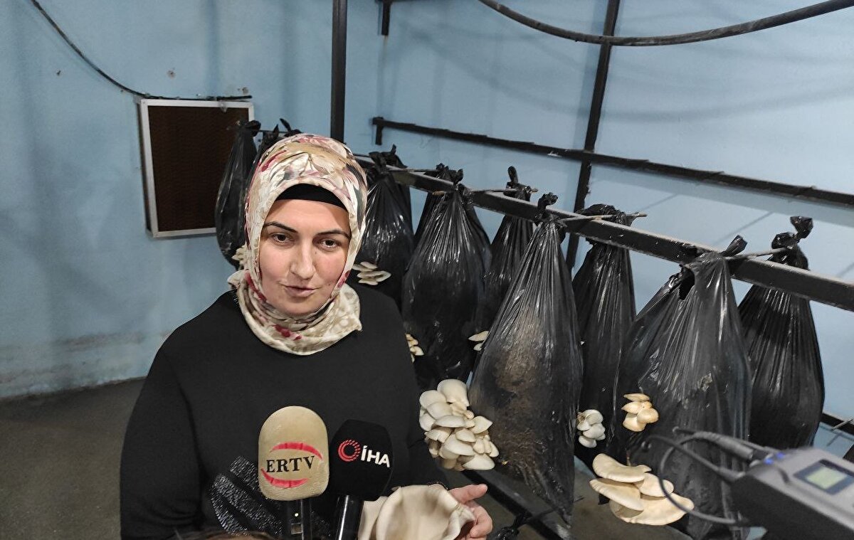 Şu anda 3 ayda ürettiği 6 ton istiridye mantarını Malatya'daki yerel marketlere sattığını ifade eden Hayriye Duman, hayalinin ise bir entegre tesisi kurarak yurt dışına ihracat yapmak olduğunu söyledi.