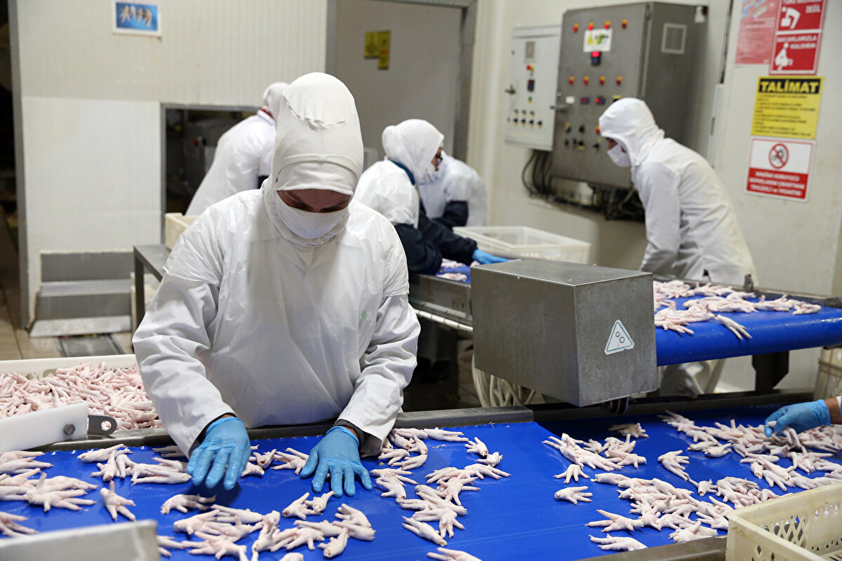 Dış pazarda tutunmanın zor olduğuna işaret eden Gedik, kaliteli ürün ve iyi ilişkilerle bunu başarmaya çalıştıklarını dile getirdi.<br><br>