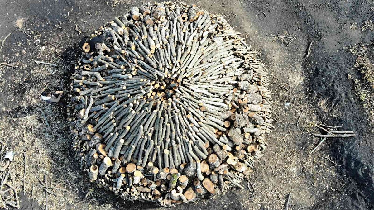 Sonrasında ise her tarafı toprak ve saman ile kaplanan odunlar, üst taraftan verilen ateş sayesinde 15-30 gün arasında içten içe yanıyor. Hazırladıkları ocak başında 24 saat nöbet tutan işçiler, yanmanın ardından soğutma çalışmaları yaparak mangal kömürünü hazır hale getiriyor.<br>