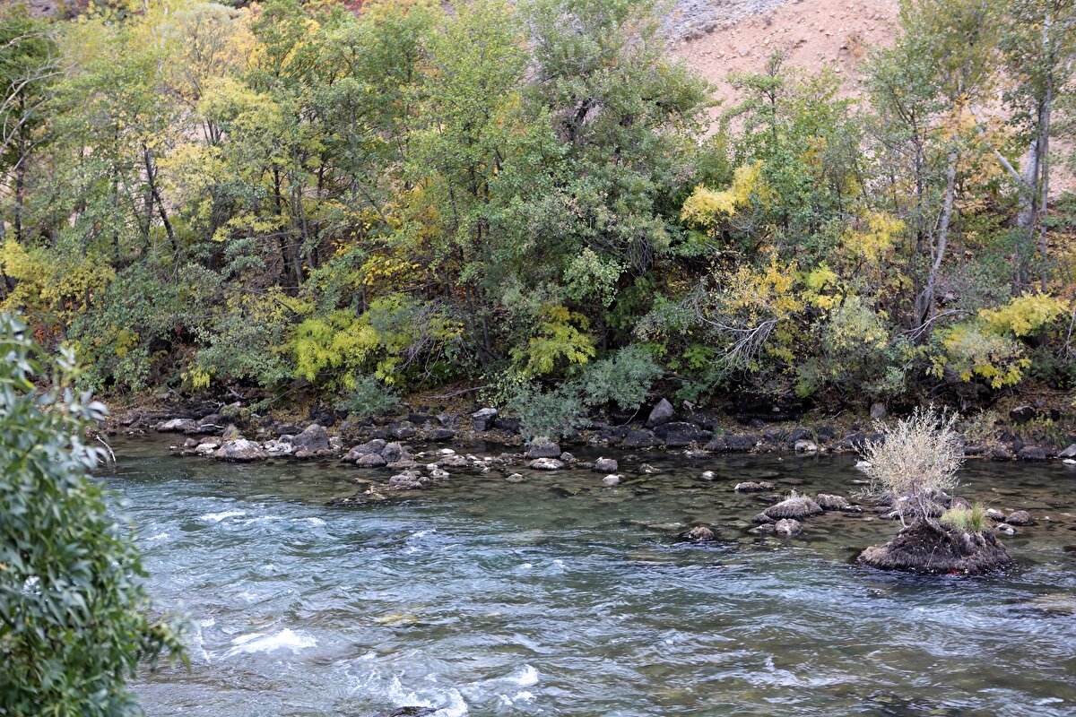Munzur Çayı’nın su seviyesinin en son 1934 yılının kış aylarında bu kadar azaldığı belirtildi. Çayda su seviyesi düşünce rafting de yapılamaz oldu. Başta çevre iller olmak üzere ülkenin dört bir yanından günübirlik gezi için kente gelip rafting yaparak eğlenen ziyaretçiler, bu yıl bu etkinliği yapamadan geri döndü.<br>