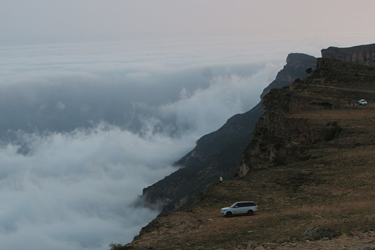 Özellikle ineklerin ve develerin otlatıldığı dağ yamaçları sürü hayvanları için zengin besin kaynakları barındırıyor. 