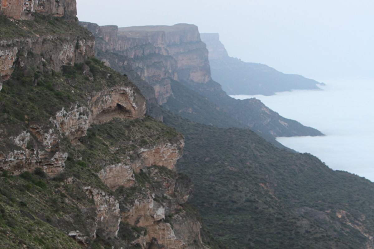 Eteklerinde hayvancılık faaliyetlerinin de yapıldığı Semhan Dağı'nın eteklerinde aynı zamanda yoğun olarak sığla ağaçları ve çok çeşitli bitkiler bulunuyor.