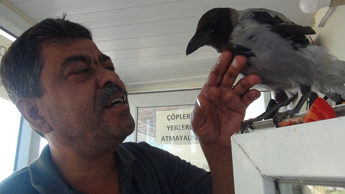 Omuzlarımdan inmemeye başladı. Bir arkadaş, dost olduk. Benim yaptığım hareketleri yavaş yavaş yapmaya başladı. Verdiği tepkileri ufak ufak ben de anlıyorum.<br>