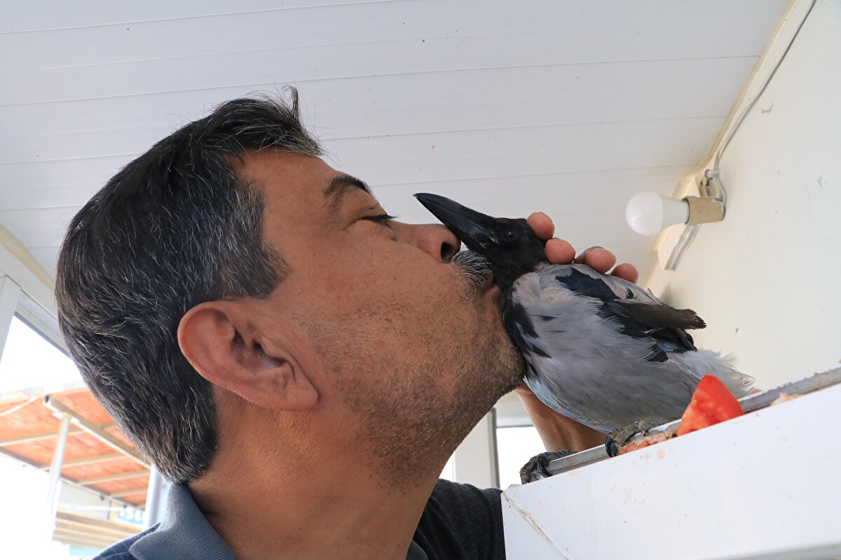 Kargaya ücret ödeyen müşteriler de kendilerini gülümseten bu durumdan oldukça memnun olduklarını belirtti.<br>
