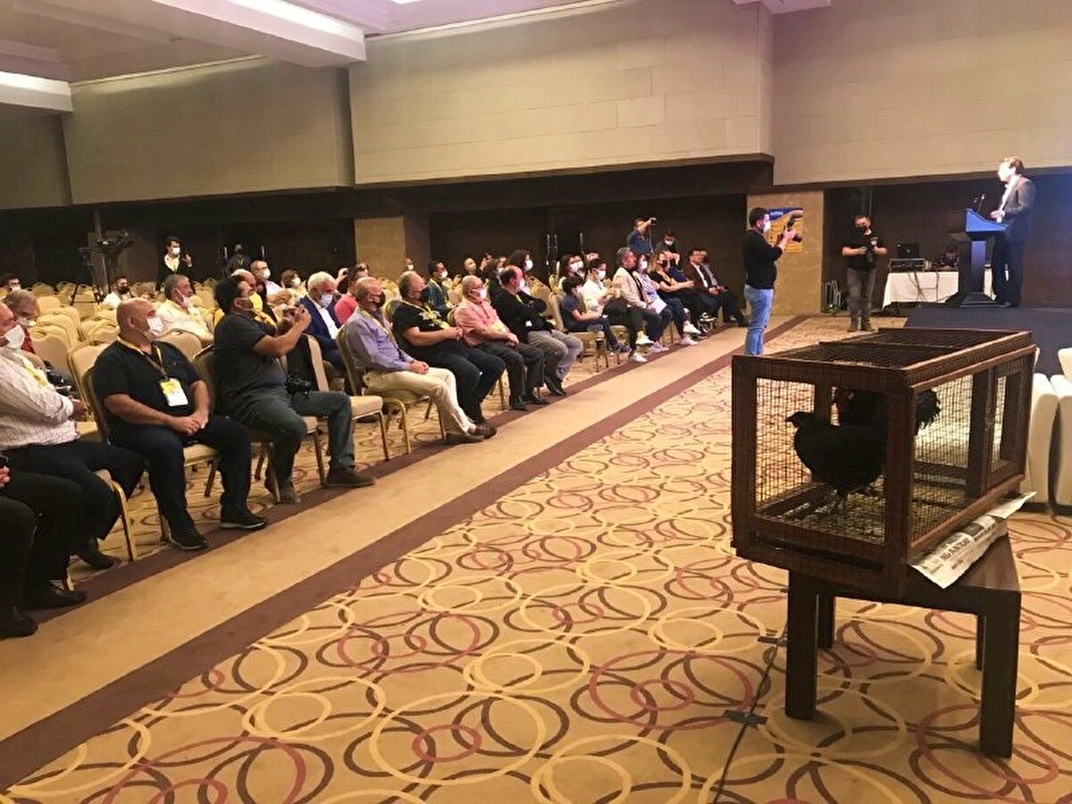 Sinop'ta üretilen Gerze tavuk türünün neslini korumayı hedefleyen bir sosyal sorumluluk projesi başlatan Sinop Ticaret ve Sanayi Odası Başkanı Salim Akbaş, "İki yıl önce fuar alanına geldiğimizde bir gıda tedarikçisi bu üründen bahsetti. Bu ürünün ciddi anlamda karşılık bulunduğunu ve benzerinin Sinop Gerze'de olduğunu söyledi. Gidip bölgeyi araştırdığımızda gerçekten bölgede geçmiş dönemlerde üretilmiş ama simdi pek üretilmeyen bir ürün olduğunu gördük. Irkının azaldığını görünce bir sosyal sorumluluk projesiyle beraber bu ırkın çoğaltılması, yaşatılması ve bir ticari faaliyet olarak da pazara sunulmasıyla ilgili bir çalışmamız oldu. Bu tavuk para getirmese bile benim vicdanıma rahatlık getirecek" ifadelerini kullandı.<br><br>