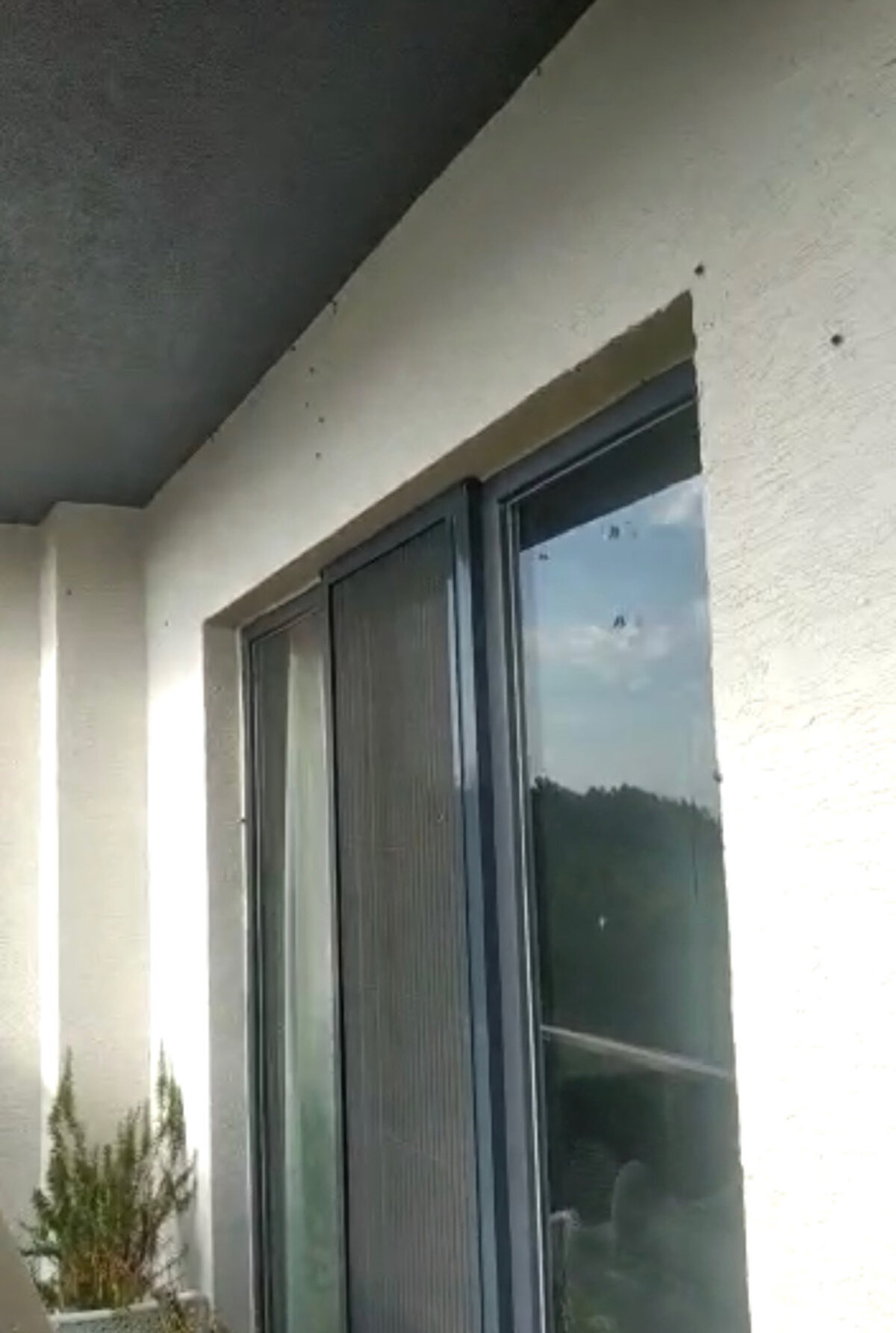 Torbalı elektrik süpürgeleriyle çekilerek bir poşete konduktan sonra sıkıca ağzını kapatıp çöpe atılabileceğini belirten Doç. Dr. Hızal, " Üç dört şekilde mücadele ediliyor. Ama biter mi, bitmez. Popülasyon biraz azaltılabilir. Çünkü bu sadece park bahçelerde değil, ormanlık alanlarda da bulunuyor. Şu yapılabilir, ergin dönemlerinde uçma dönemlerinde fenomen tuzakları asılarak en azından park bahçelerin çevresindeki binalarda yaşayan insanlar için bir fayda sağlanabilir" dedi. <br><br>