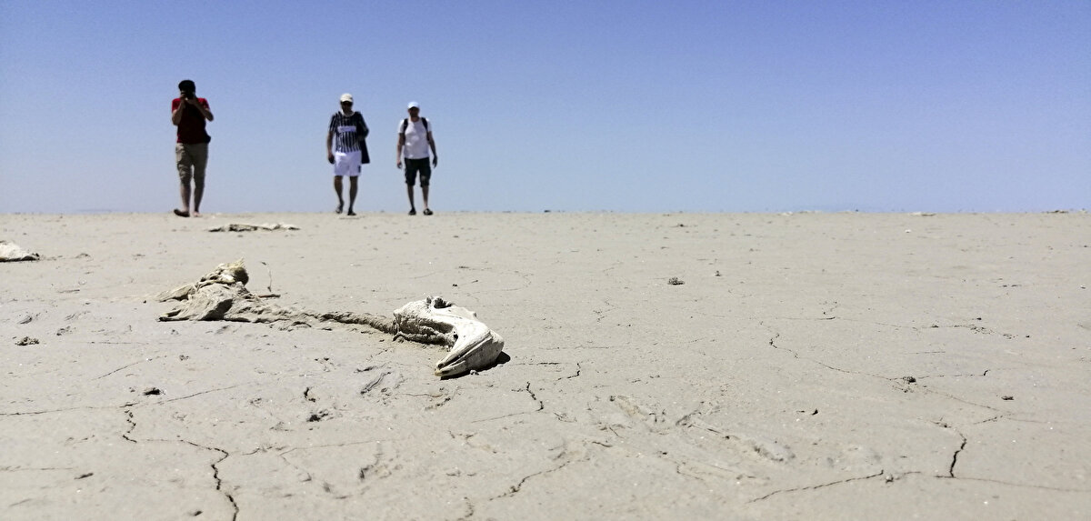 Tuz Gölü havzasının 2000 yılında koruma altına alındığını da hatırlatan Prof. Dr. Karakaya, gölün kuruyan bölümlerinde iyileştirme yapıldığı takdirde tarıma elverişli hale gelebileceğini kaydetti.<br>