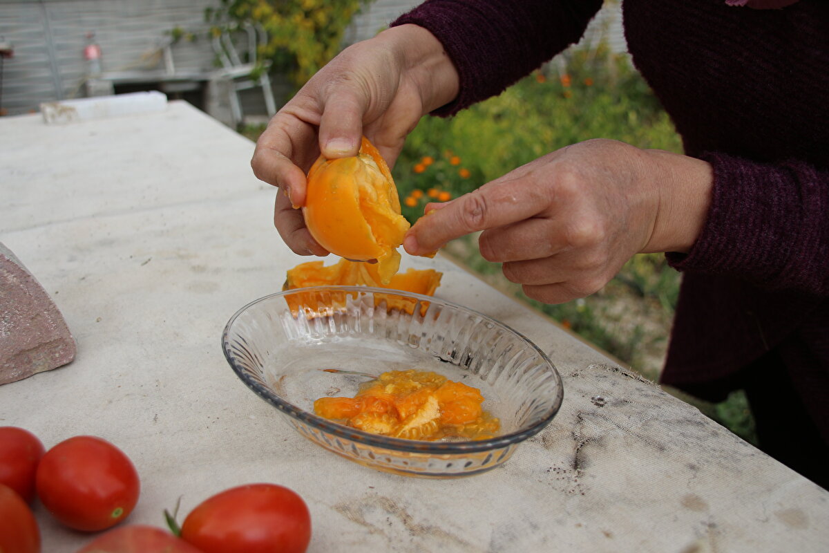 Günbaş, "O tohumu görünce 'Biz bunu mu yiyoruz?' dedim. Daha sonra bazı araştırmalar yapmaya başladım. İçimde hep ekip dikme hevesim vardı zaten. Buğday tarlalarının içinde büyüdüm. Satın aldığım domates, bu işlere başlamamı sağladı." dedi.<br>
