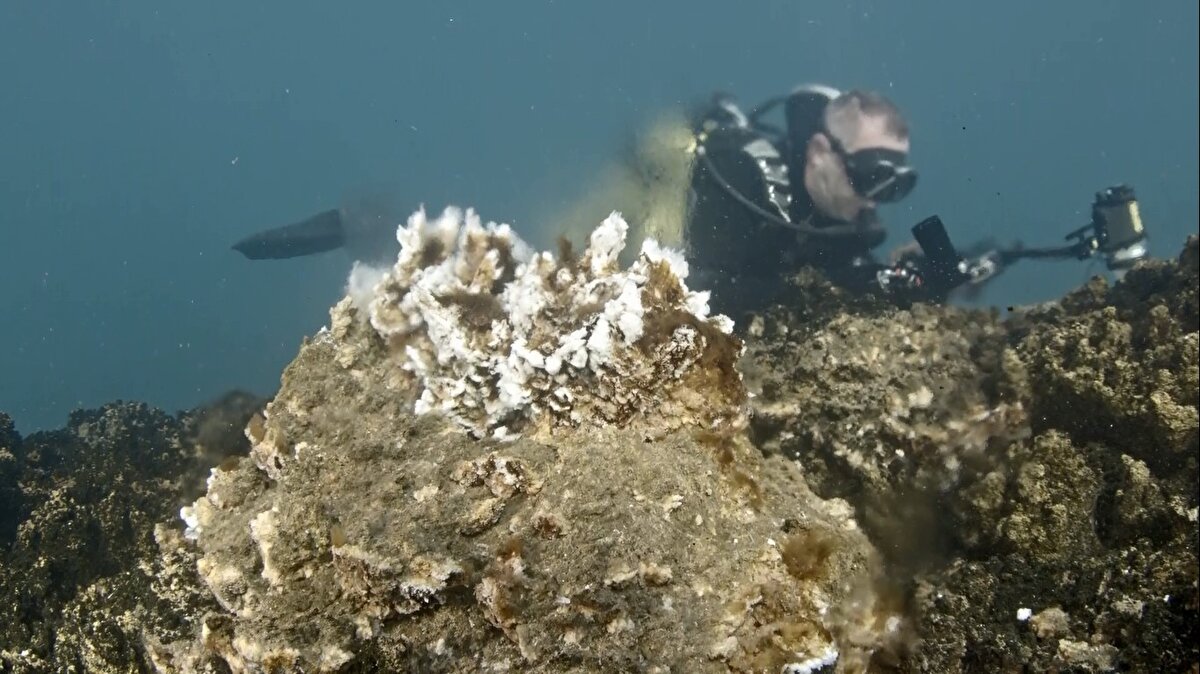 <br>Van Büyükşehir Belediyesi'nin desteği ile 4 günlük çalışmayı sonlandırdıklarını kaydeden Akkuş "Ülkemizin su altı ile ilgili tek derneği olan Su Altı Fotoğrafçılar ve Filmciler Derneği Başkanı ve ekibiyle Van Gölü’ndeki su altı güzelliklerini görüntülediler. Bunların her biri geleceğe atılmış birer tohum. Van Gölü’nün ekonomiye katkısı balıkçılık ve taşımacılıkla ön planda” dedi.<br><br>