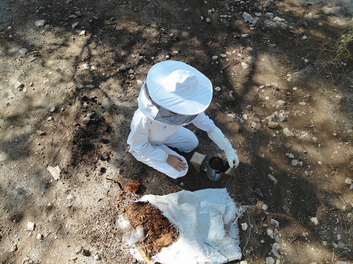 Muğla Arı Yetiştiricileri Birliği Başkanı Veli Türk ile de tanıştığını anlatan Temiz, ondan edindiği bilgilerle iki yıldır Dalaman'da arıcılık yaptığını, özellikle kadınlara bu mesleği tavsiye ettiğini dile getirerek, "Elbette zor ama bir kadın arıcılık yapamaz diye bir şey yok.<br>