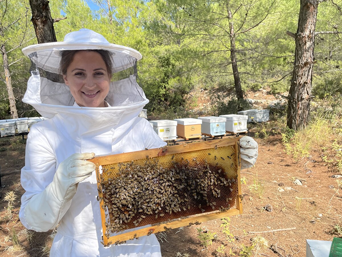 Türk, Muğla ve ilçelerinde arıcılık yapmak isteyenler için de kurslar düzenlendiğini dile getirdi.<br>