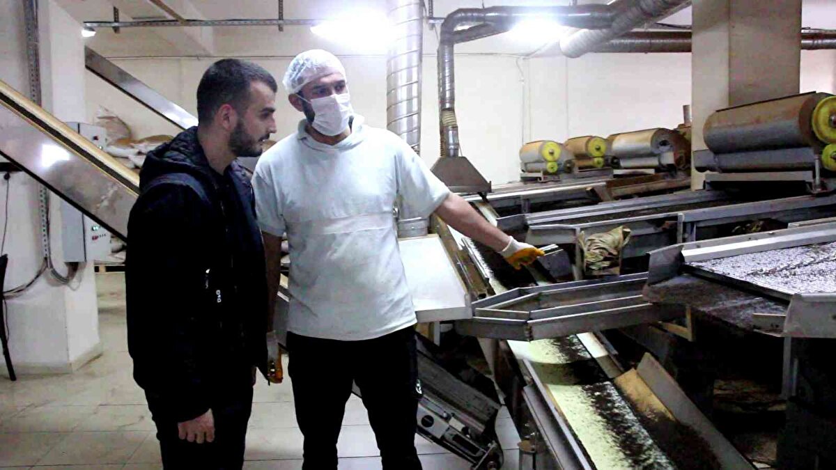 Trabzon'un Hayrat İlçesi'ne bağlı sahilden 22 kilometre uzaklıkta Balaban Mahallesi'nde 3 yıl önce kurulan çay fabrikasının Yönetim Kurulu Başkanlığı'nı yapan Yasin Sönmez, gençlerin iş beğenmemesinden yakındı. Asıl mesleği mimarlık olan Yasin Sönmez, aile işletmesi olduğu için fabrika yönetiminin başına geçti. Asıl şirketleri İstanbul'da olan Sönmez ailesi, memleketlerinde özellikle gençlerin istihdamına katkı sağlamak için, 3 yıl önce 60 milyon TL'lik bir maliyetle çay fabrikası kurdu. Yılda yaklaşık 7 bin ton yaş çay işleyen fabrikada, 40 kişi istihdam ediliyor.<br><br><br>