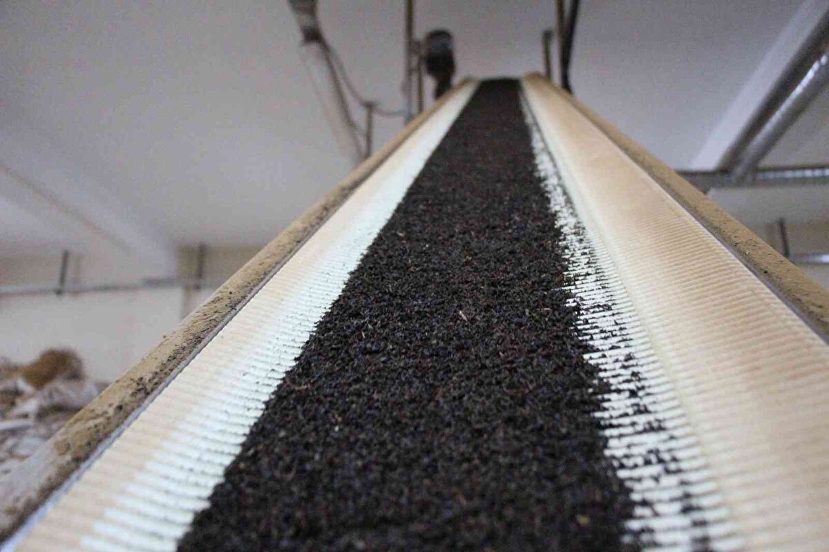 Doğal ve kaliteli çay ürettiklerini dile getiren Sönmez, "Fabrikamız, sahilden 22 kilometre uzaklıkta ve 650 metre rakımda bulunuyor. Kışın üzerine yaklaşık 1,5 metre kar yağan bir bölgenin çayını işliyoruz. Çok yukarıda bulunduğumuz için lojistikte biraz sorunlarımız oluyor. Bu durum maliyetlerimizi biraz artırıyor. Karadeniz'deki çay fabrikaları genelde sahile yakın oluyor. Bizim fabrikamız ise yüksekte bulunuyor. Fakat bu bizim artımız. Çünkü yükseklere çıkıldıkça çayın kalitesi artıyor. Çayın üzerine fazla kar yağması da çayın kalitesini artırıyor. Sahil kesimlerinden çay almıyoruz. Çünkü sahil kesimlerinde çayın üzerine fazla kar yağmıyor. İyot oranları yüksek oluyor. Bir de son dönemde çay müstahsillerinden benzinli motorla çay toplayanlar oluyor. Son yıllarda bu durum yaygınlaşmış durumda. Benzin dumanı çayın kalitesini etkilediği için benzinli motorla toplanan çayları almıyoruz. Bizim çayımız tamamen katkısız, doğal ve tozsuz" diye konuştu.<br><br>