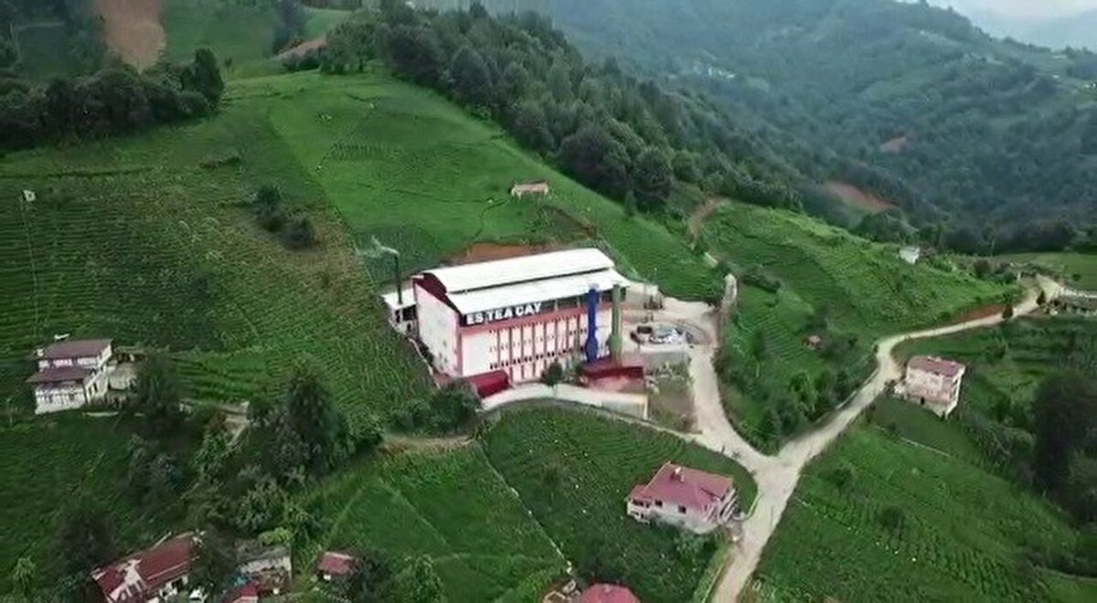 Gençlere iş imkanı sağlamak istediklerini belirten Sönmez, "Fabrikamız 3 yıl önce hizmete girdi. Fabrikayı kurmadaki amacımız tamamen köydeki gençlere iş imkanı sağlamak. 40 kişi istihdam ediyoruz. Yaz aylarında çay işleme kış aylarında ise paketleme işi yapılıyor. Burada katkısız doğal çay üretimi yapıyoruz. Günde ortalama 150 ton yıl 6-7 bin ton çay işleme kapasitesine sahibiz. İstanbul merkezli bir firmayız. Amacımız memleketimize bir fabrika kurup, buradaki insanlara iş istihdamı sağlayarak büyük şehirlere göçü engellemekti. Fabrikamızda ağırlıklı olarak gençler çalışıyor" dedi.<br><br>