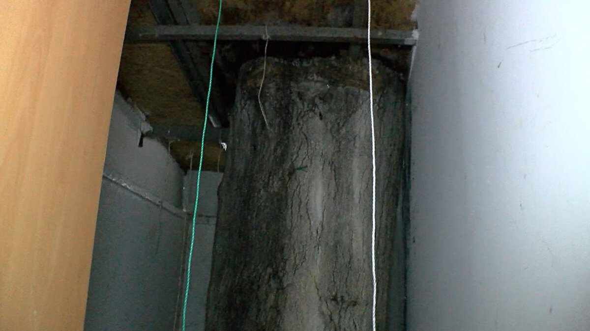 Fiyatın ev için uygun olduğunu savunan Mertol, "Mülk sahibi de bana bu fiyatı söylemişti. Bir tane binanın arka tarafında kalan bölümü. Kendine ait iki tane dairenin ortak bir lavabo alanı var. Kadıköy'de apart fiyatlarına baktığınızda tek kişilik penceresiz odalar bin 500 liradan başlıyor. Ona arkadaşınızı getirebilme şansınız yok. 'Bu ev bakımsız, buraya ben zaten arkadaşımı getirmem.' diye çok dönüş aldım. Yüzün üzerinde mesaj aldım internet üzerinden" diye konuştu.<br>