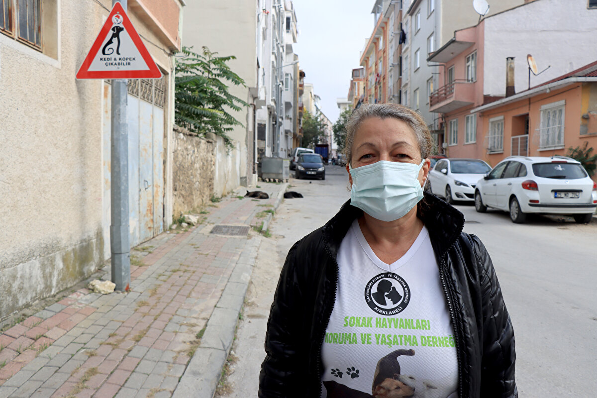 Uyarı levhaları ile sürücülerin de dikkatinin çekildiğini ifade eden Başara, "Hayvanların bu dünyanın gerçek sahibi olduğunu kimse düşünmüyor. Tabelalar ile sürücüler uyarılarak araçlarını yavaşlatıyor. Böylelikle hayvanların telef olma oranı azalıyor." diye konuştu.<br><br>