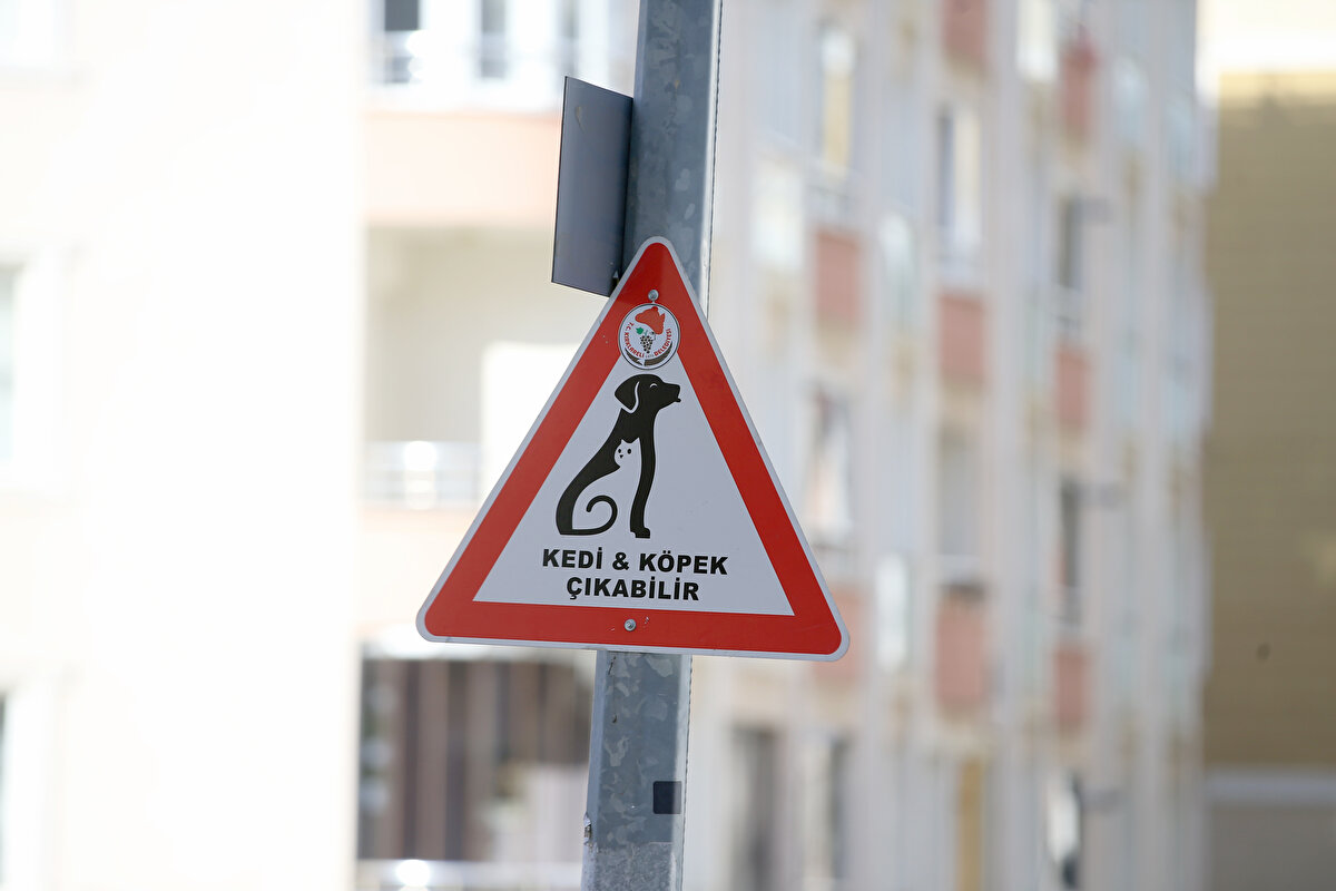 Kırklareli Belediyesi, hayvanseverlerin talebiyle kentte sokak hayvanları ile trafik akışının yoğun olduğu bölgelere "kedi ve köpek çıkabilir" yazılı uyarı tabelaları yerleştirdi.<br><br>