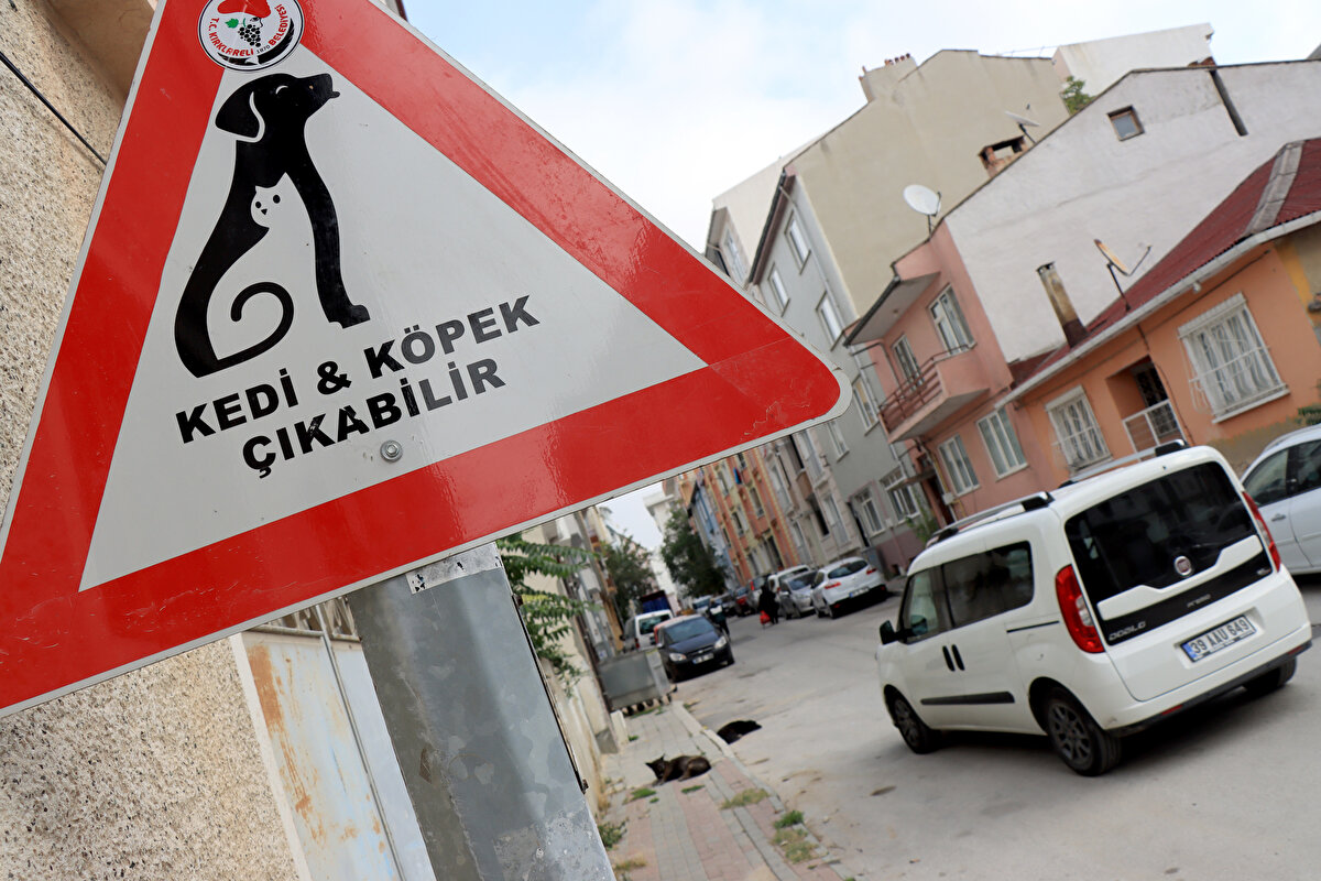 Hayvansever Melek Başara da Kırklareli'nin sokak hayvanlarına karşı olan duyarlılığının bir kez daha ortaya konulduğunu kaydetti.