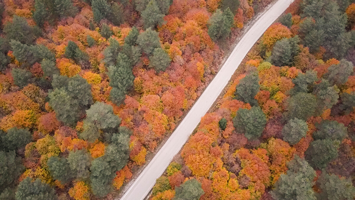 Göletlerin etrafında kamp kuran bazı doğaseverler, bölgedeki renk cümbüşüne tanıklık ederek tabiatın tadını çıkarıyor.<br><br>