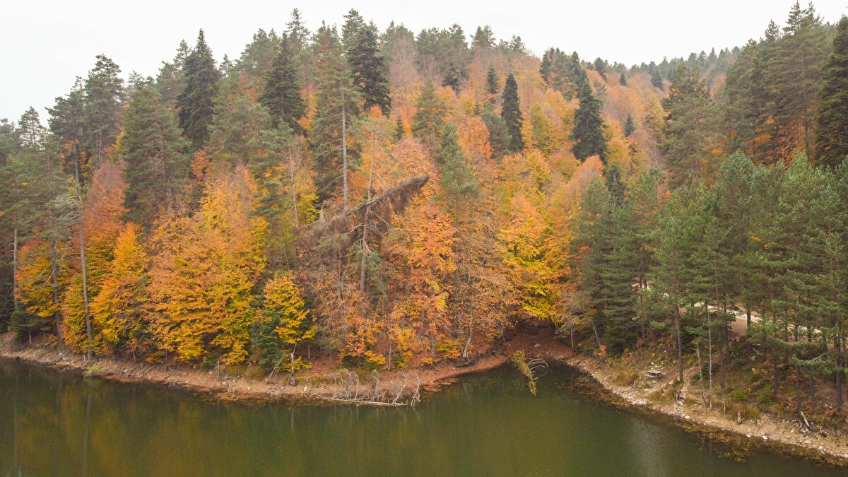 İl merkezine 30 kilometre uzaklıkta yer alan ilçe, özellikle hafta sonları çevre illerden gelen ziyaretçileri ağırlıyor.<br><br>